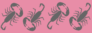 Scorpion border stencil