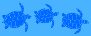 Sea turtle border stencil