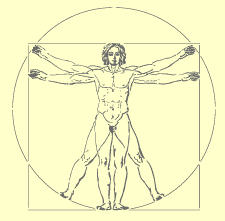 Vitruvian man (large) stencil