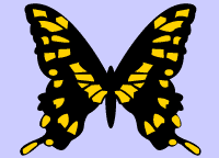 Butterfly stencil C