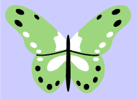 Butterfly stencil D