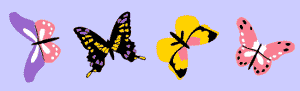 Butterfly border stencil