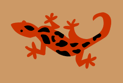 Lizard stencil C