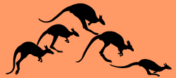 Jumping kangaroos border stencil