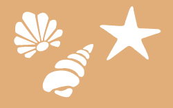 Seashells stencil