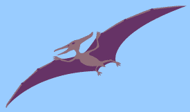 Pterandon dinosaur stencil