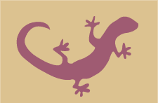 Lizard stencil E