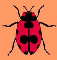 Lady bug stencil