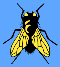 Large fly stencil