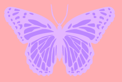Butterfly stencil E