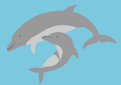 Dolphin family stencil