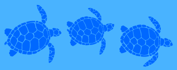 Sea turtle border stencil