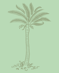Palm Tree stencil B
