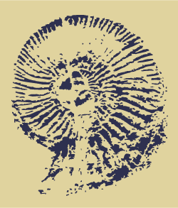 Snail fossil stencil