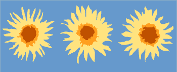 Sunflower stencil border